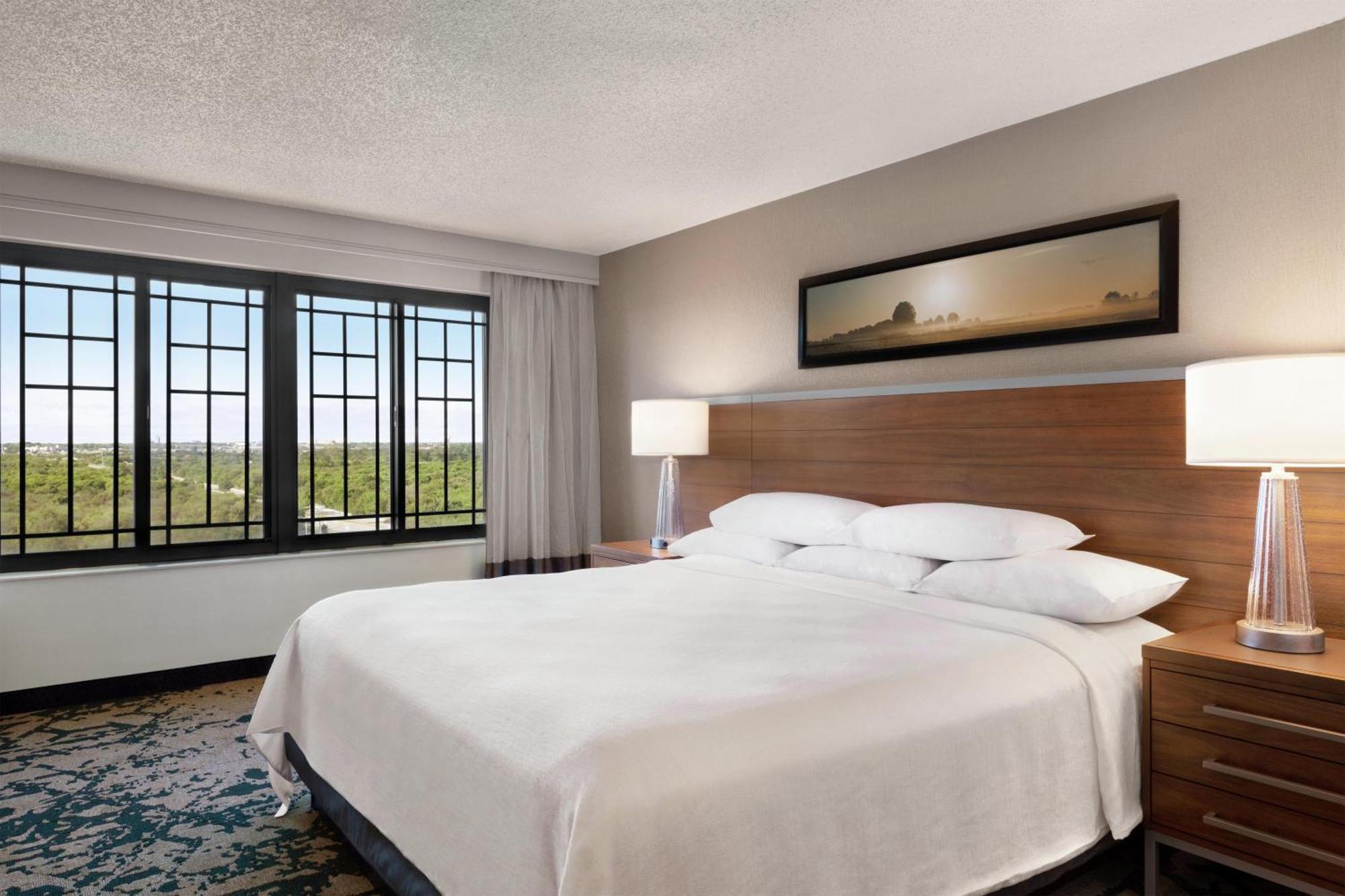 King Room Bathtub Mobility or Hearing Accessible