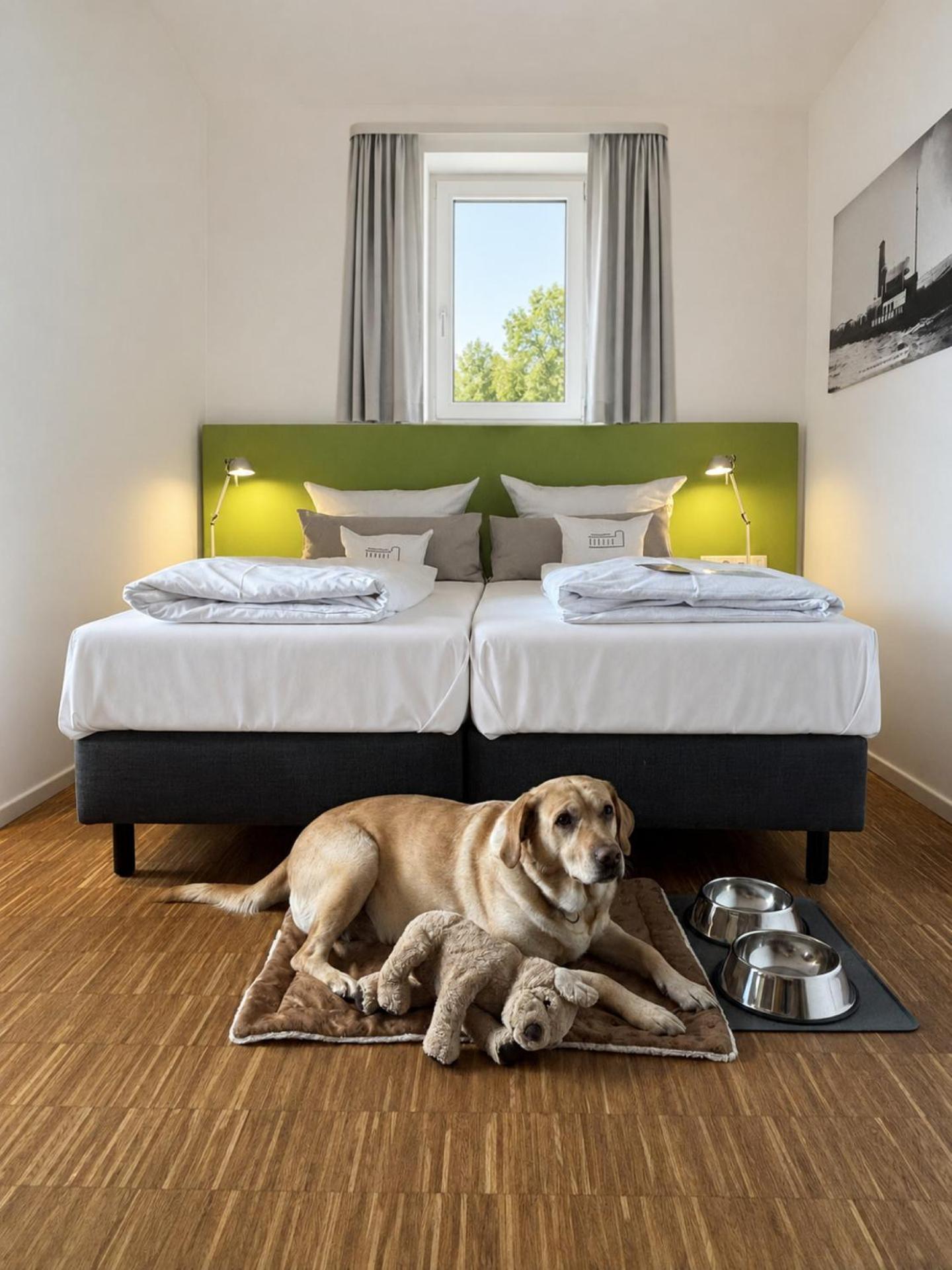 Standard Double or Twin Room