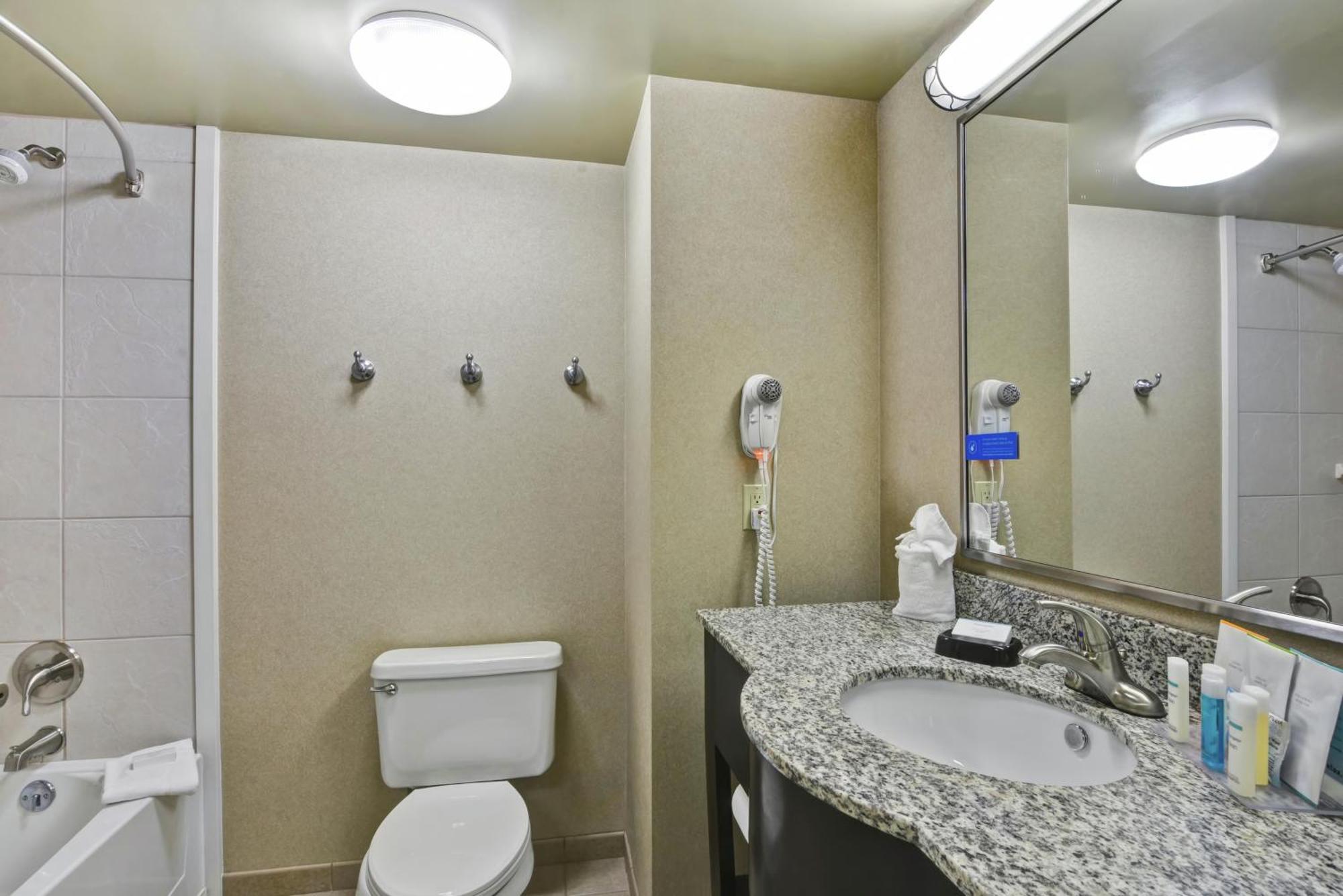 One-Bedroom King Suite Non-Smoking