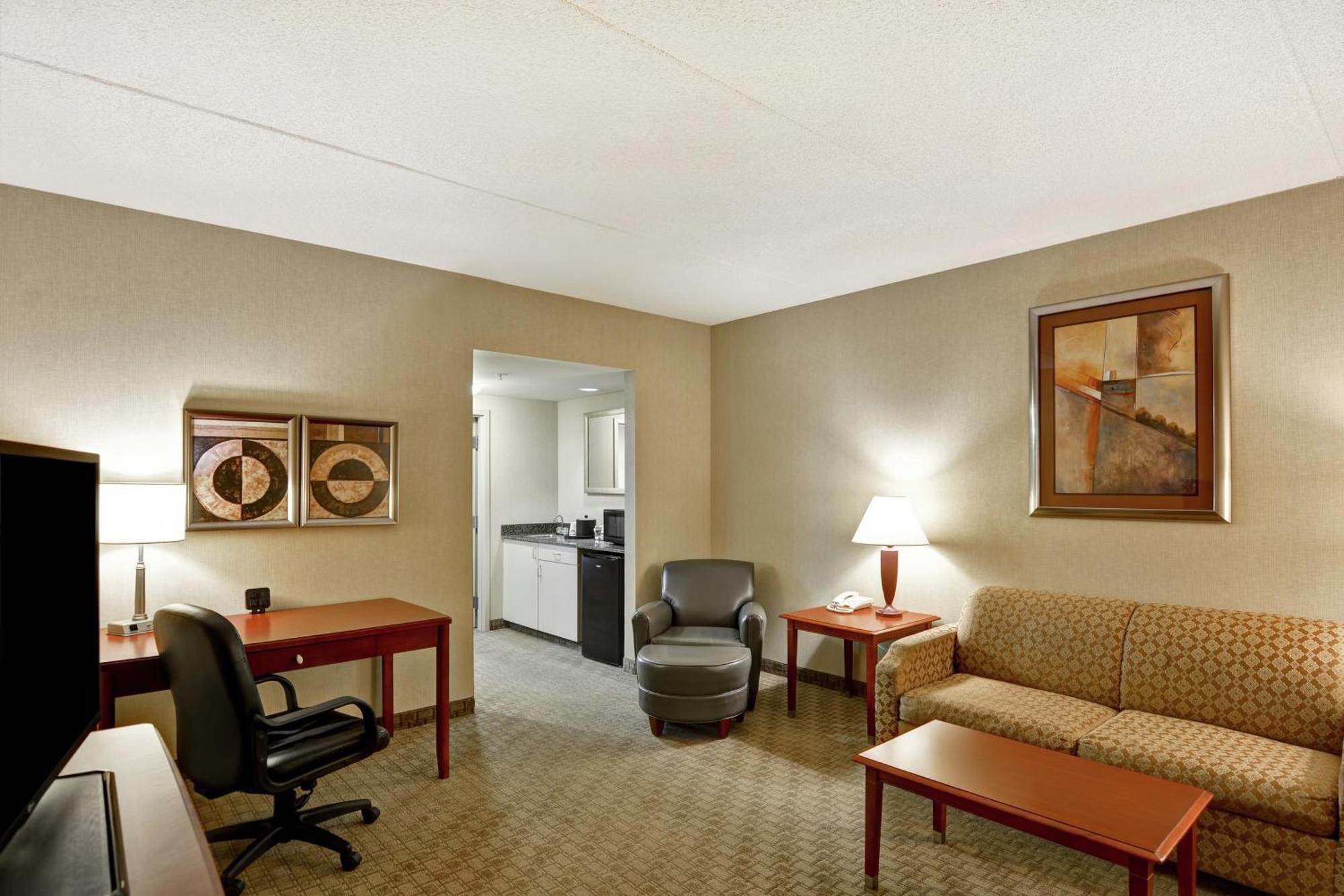 One-Bedroom King Suite Non-Smoking