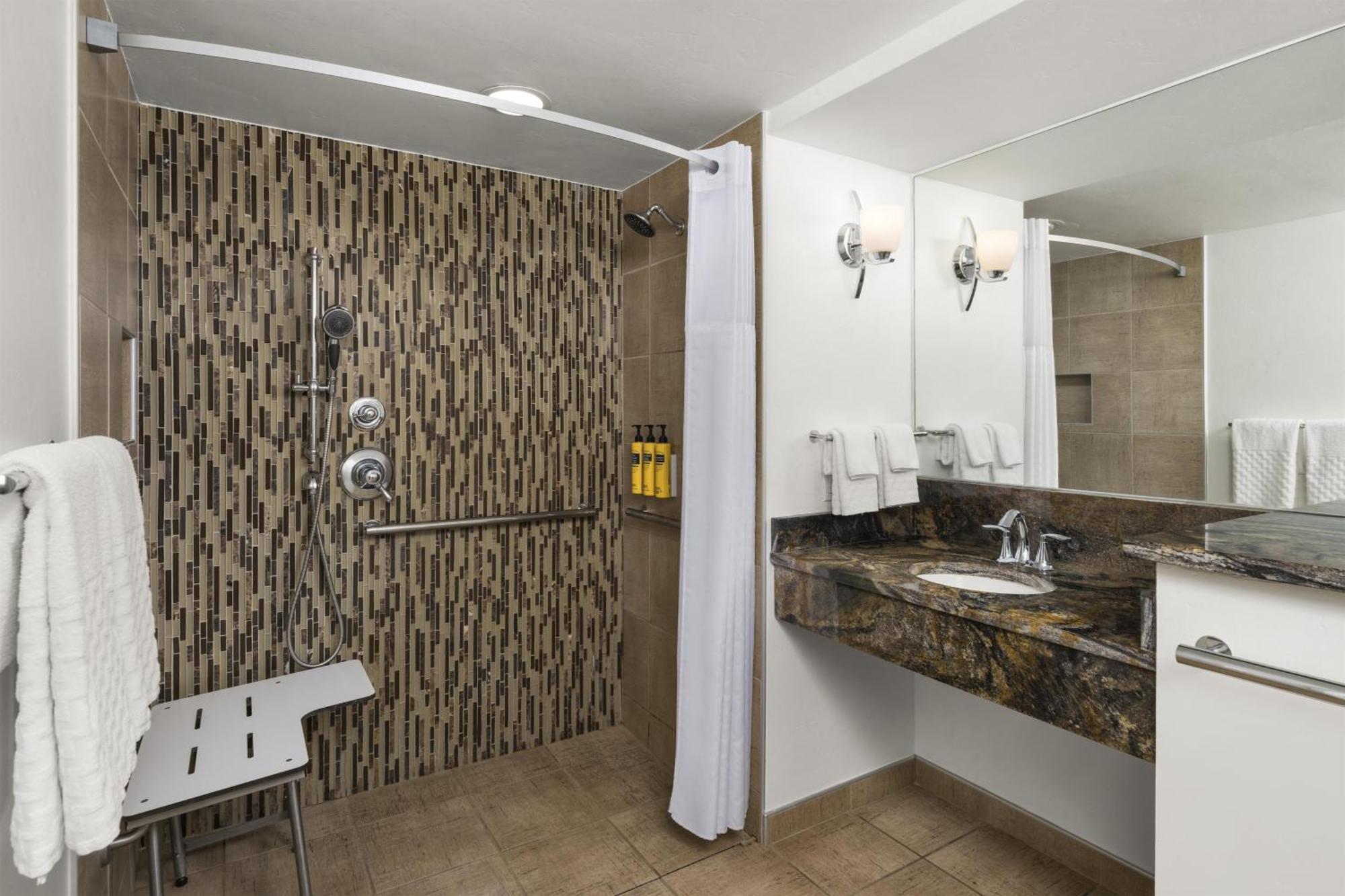 King Room Roll Shower Disability Access or Non-Smoking
