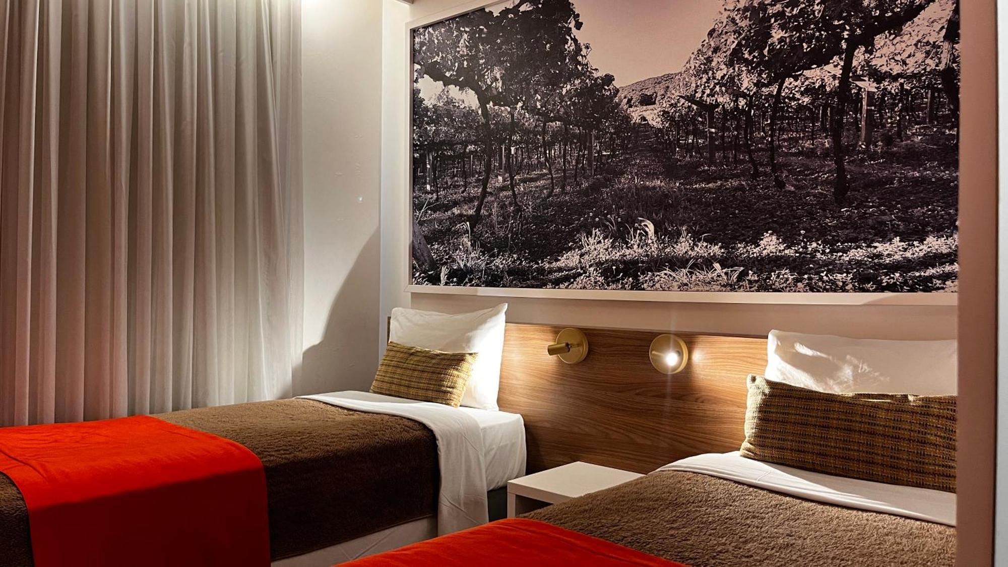 Standard Double Room Two Single Beds