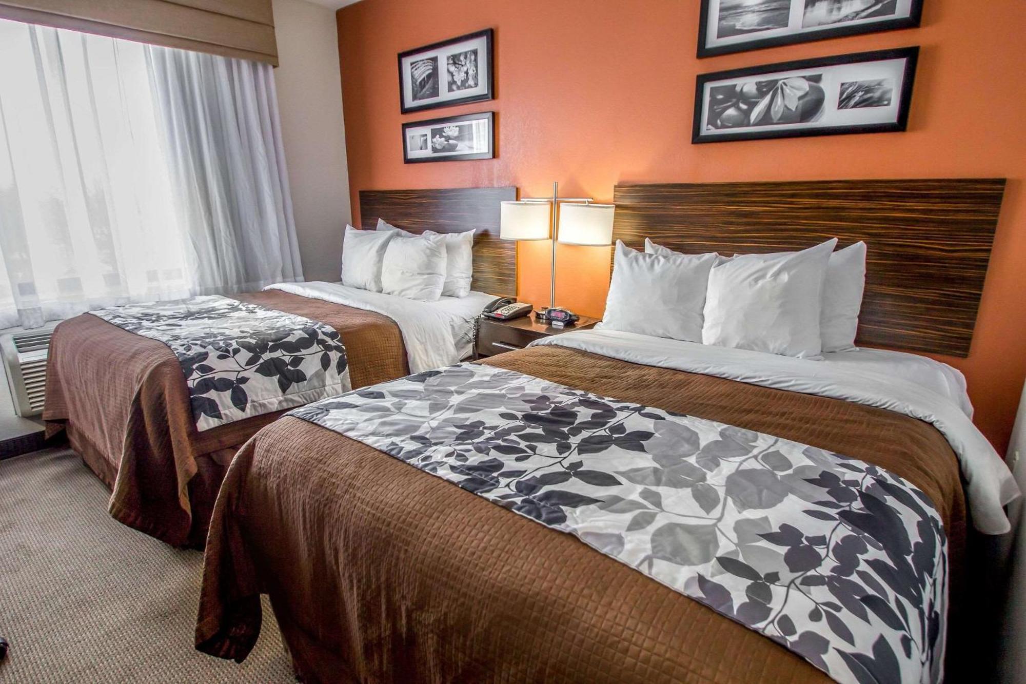 Double Room Two Double Beds