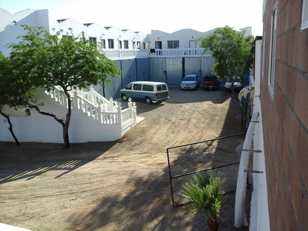 Studio Terrace