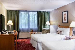 Standard Double Room Two Double Beds