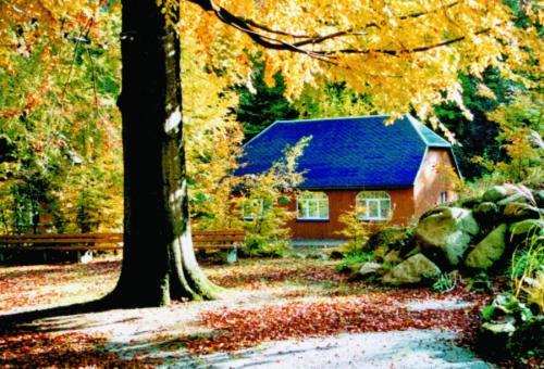 Ferienhaus für bis zu 4 Personen