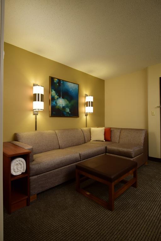 King Room Sofa Bed