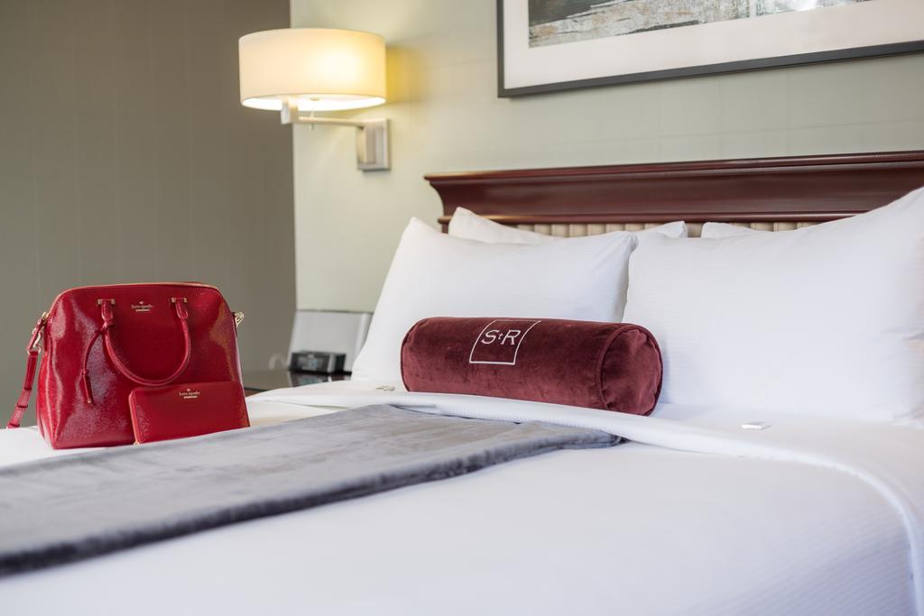 Junior Queen Suite,378503173:JPEG