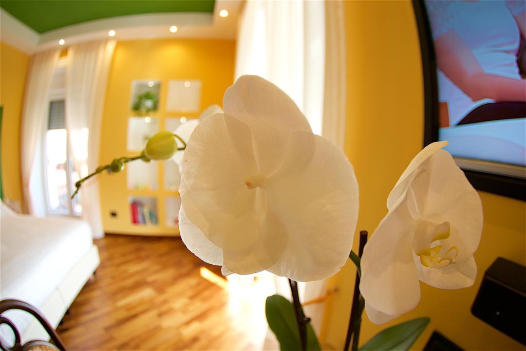 Superior Double or Twin Room Garden View