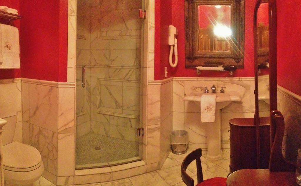 Deluxe Double Room Shower Unit 2