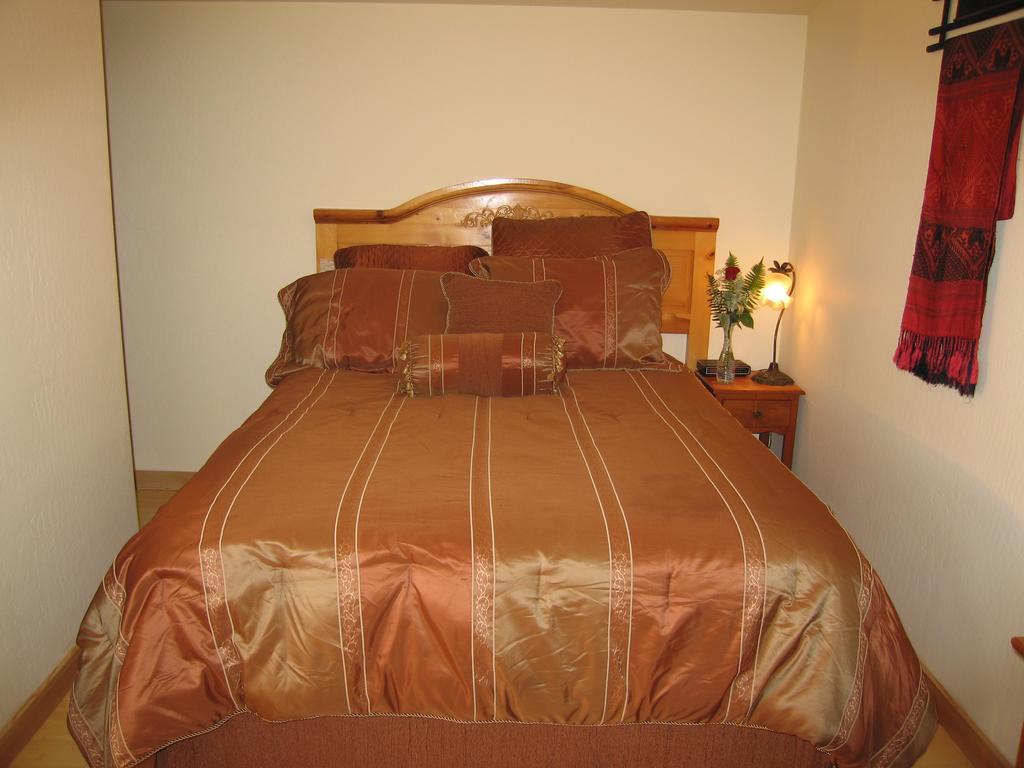 Queen Suite Sofa Bed Pet Friendly