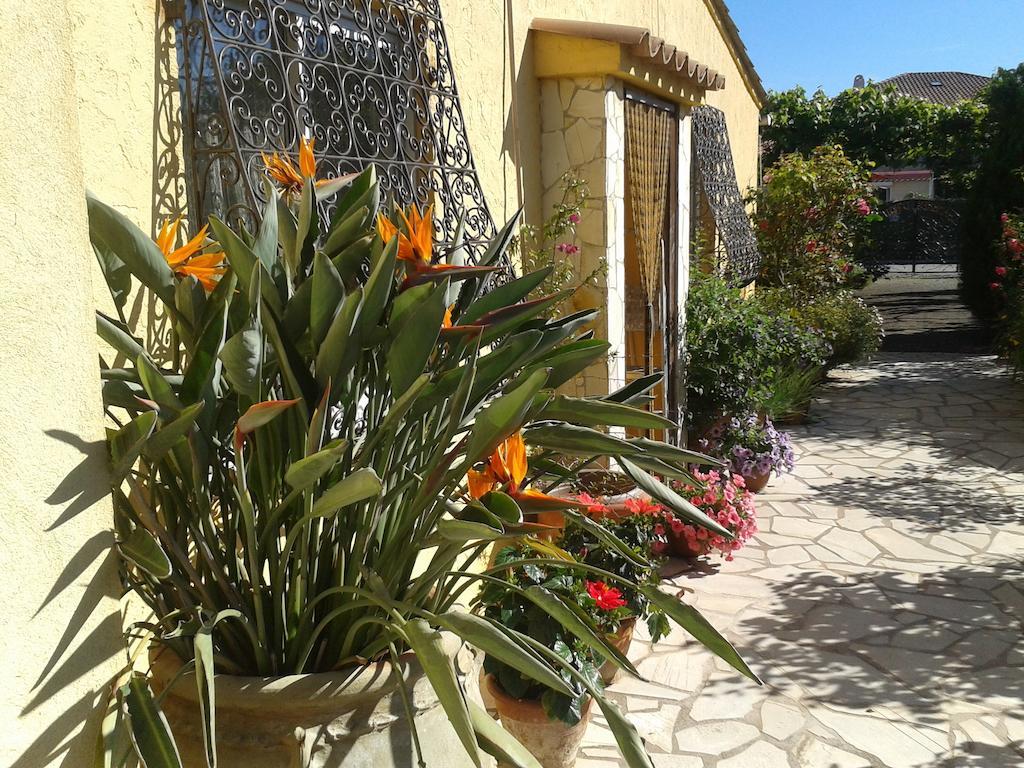 King Room Garden View