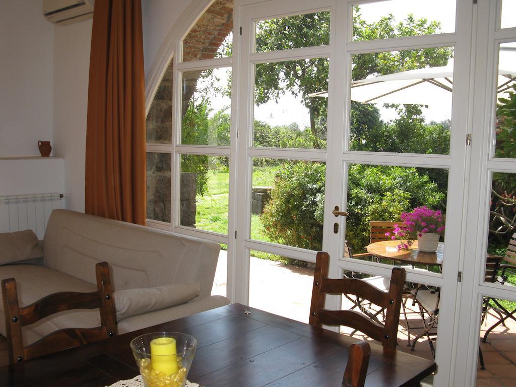 Apartment Terrace Ground Floor
