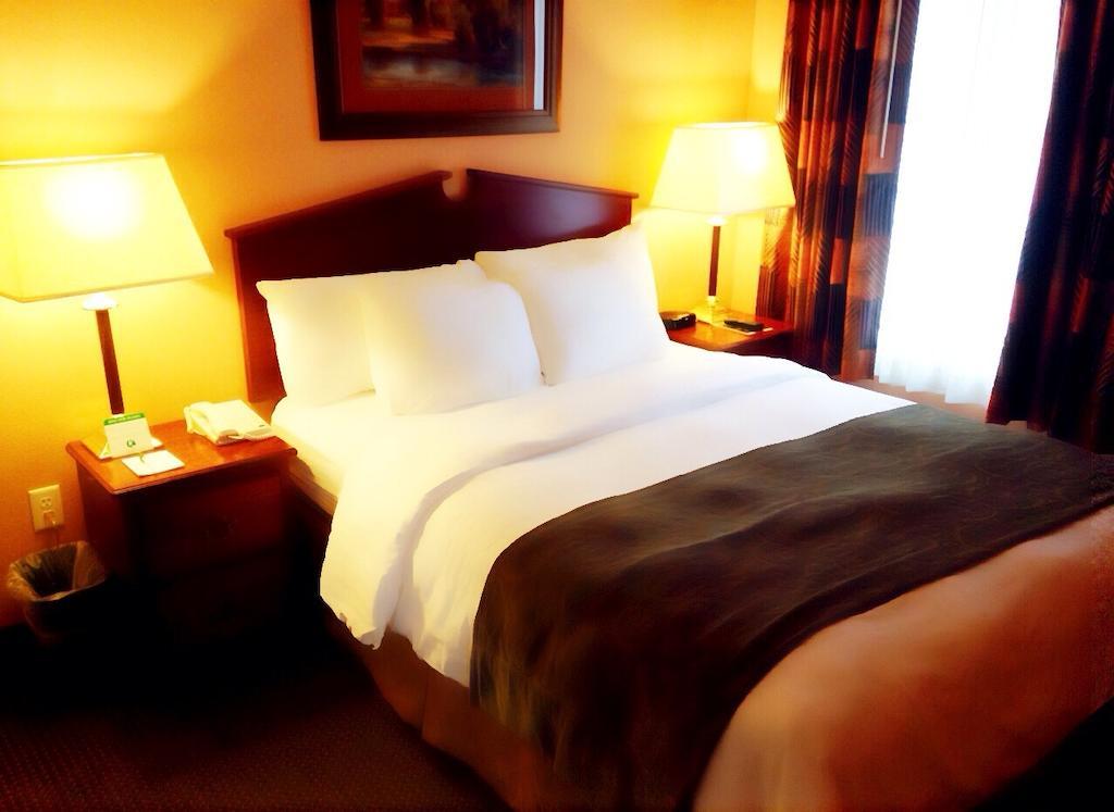 One-Bedroom Suite