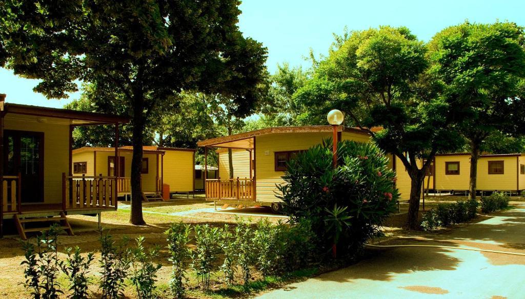 Mobile Home