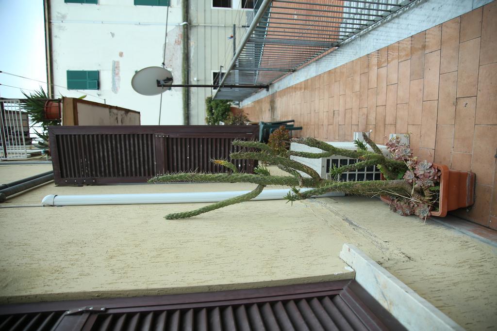 Comfort Quadruple Room,747323057:JPEG