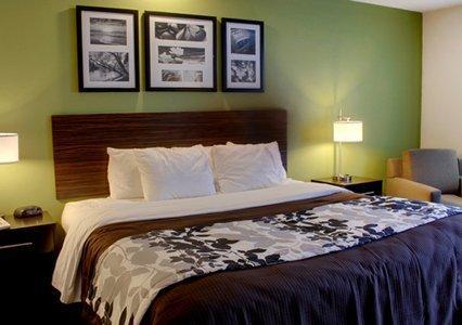 King Room - Non-Smoking