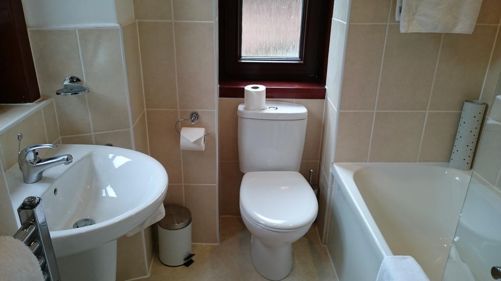 Executive Double Room,807912579:JPEG