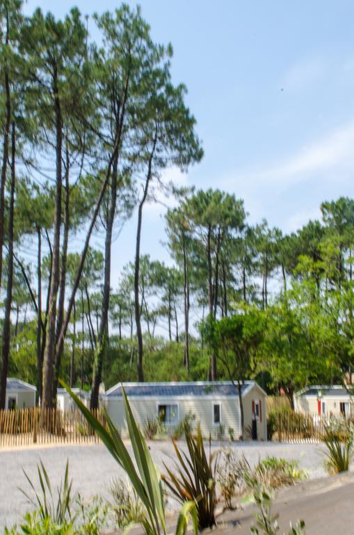 Mobile Home 1 Chambre