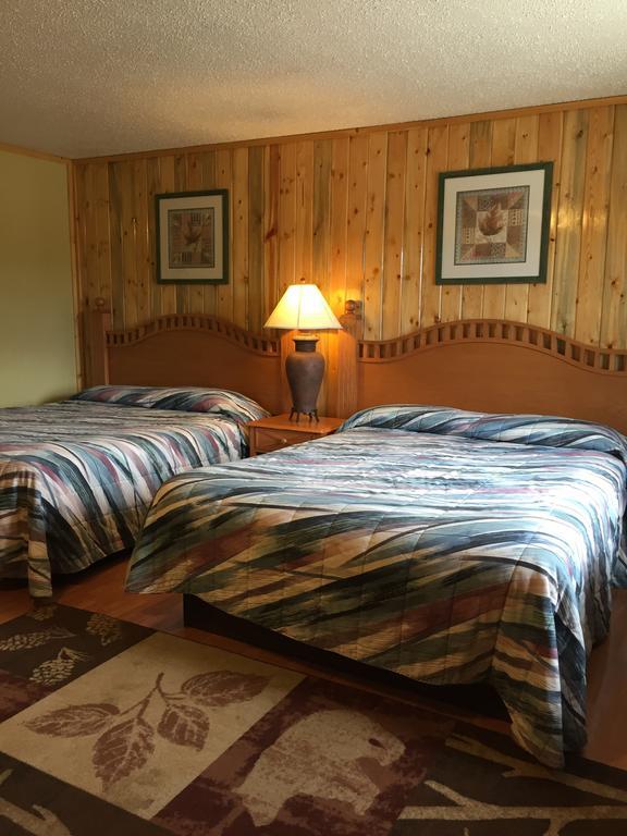 Double Queen Kitchen Pet Friendly