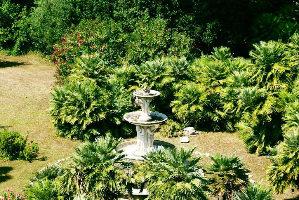 Standard Double or Twin Room Garden level