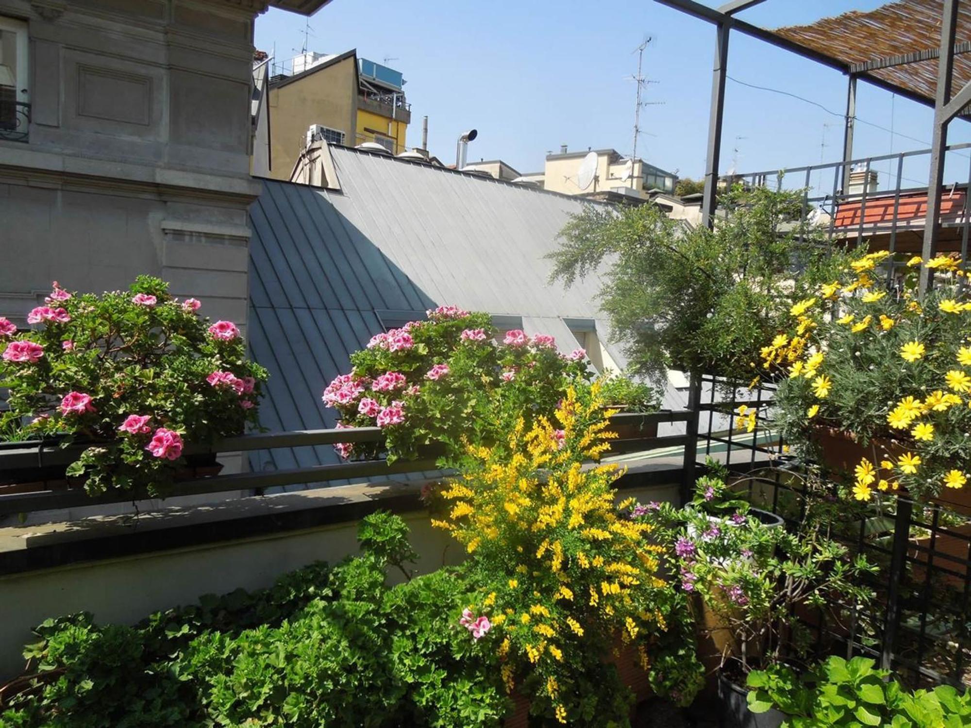 Double Room Terrace