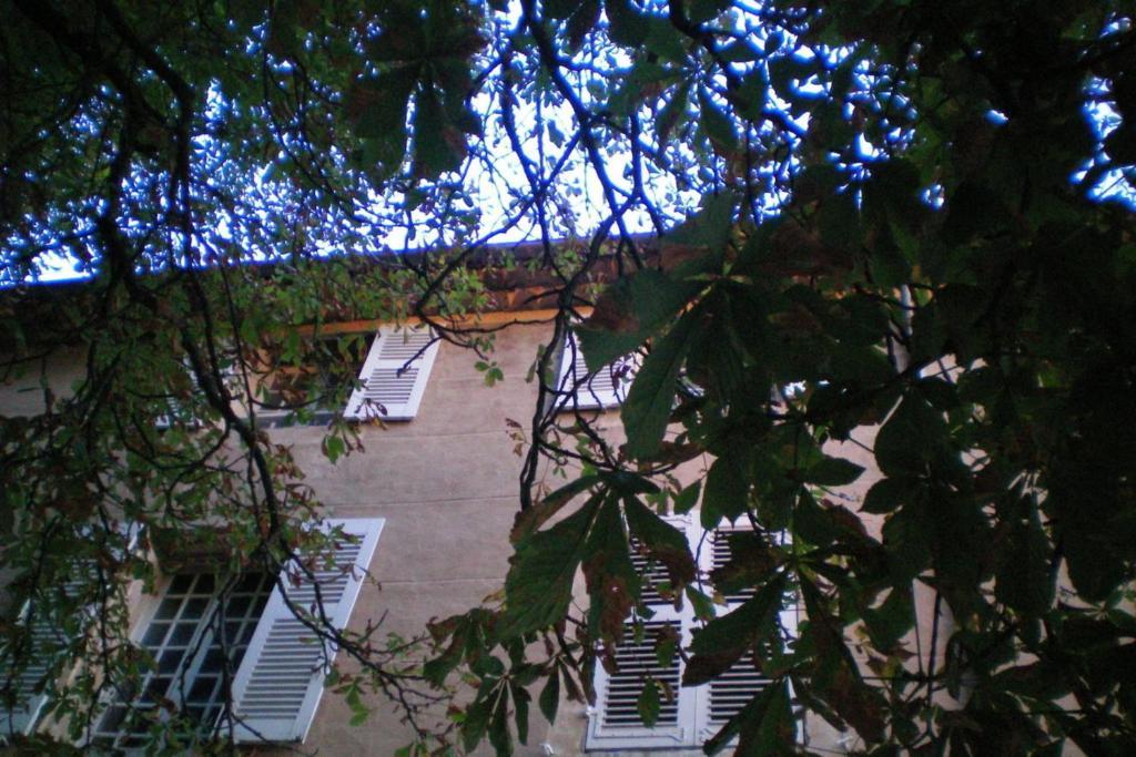Suite Supérieure
