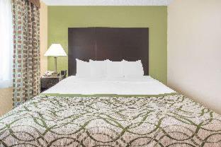 Queen Room - Disability Access/Non-Smoking