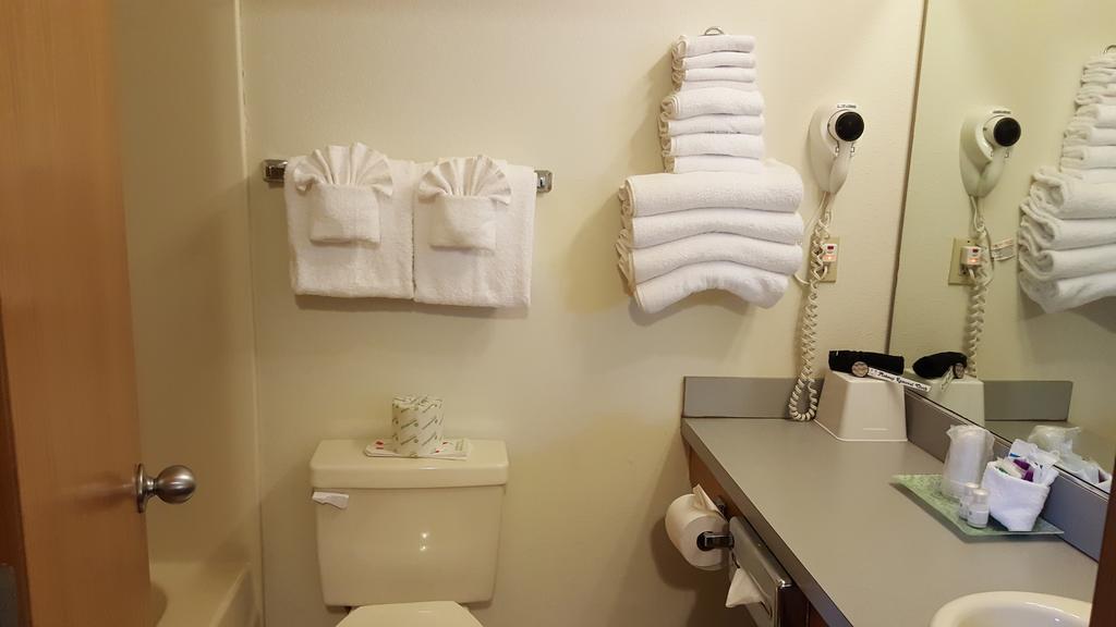 Deluxe Junior Suite - Dog Friendly