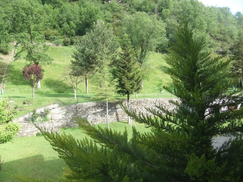 Twin Room Terrace