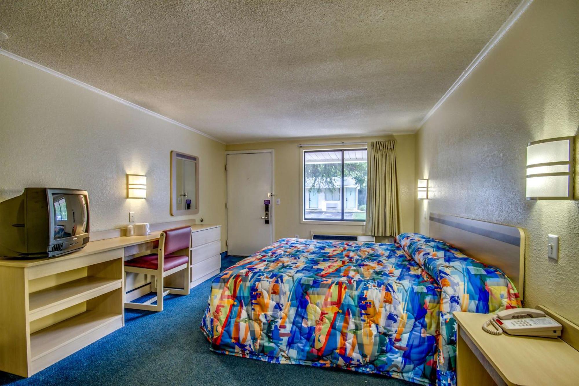 King Room Roll Shower Disability Access