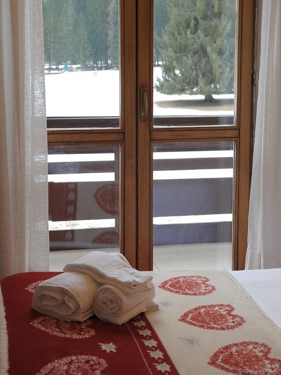 Double or Twin Room Mountain View