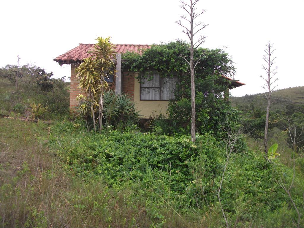 Chalet Forest View