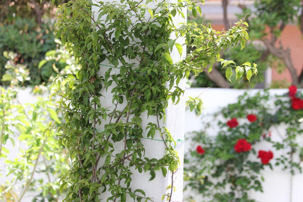 Double Room Garden View