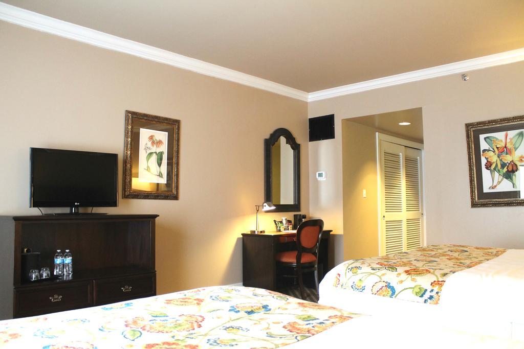 Classic Room with Two Double Beds,395840958:JPEG