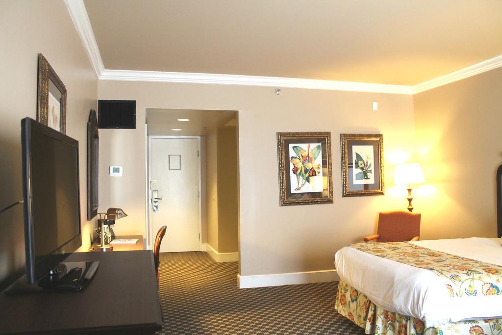 Classic Single Queen,964593217:JPEG