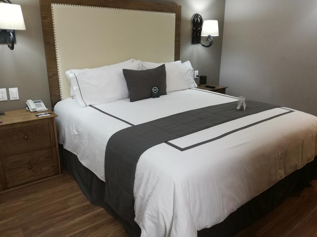 Standaard Tweepersoonskamer - 1 Bed