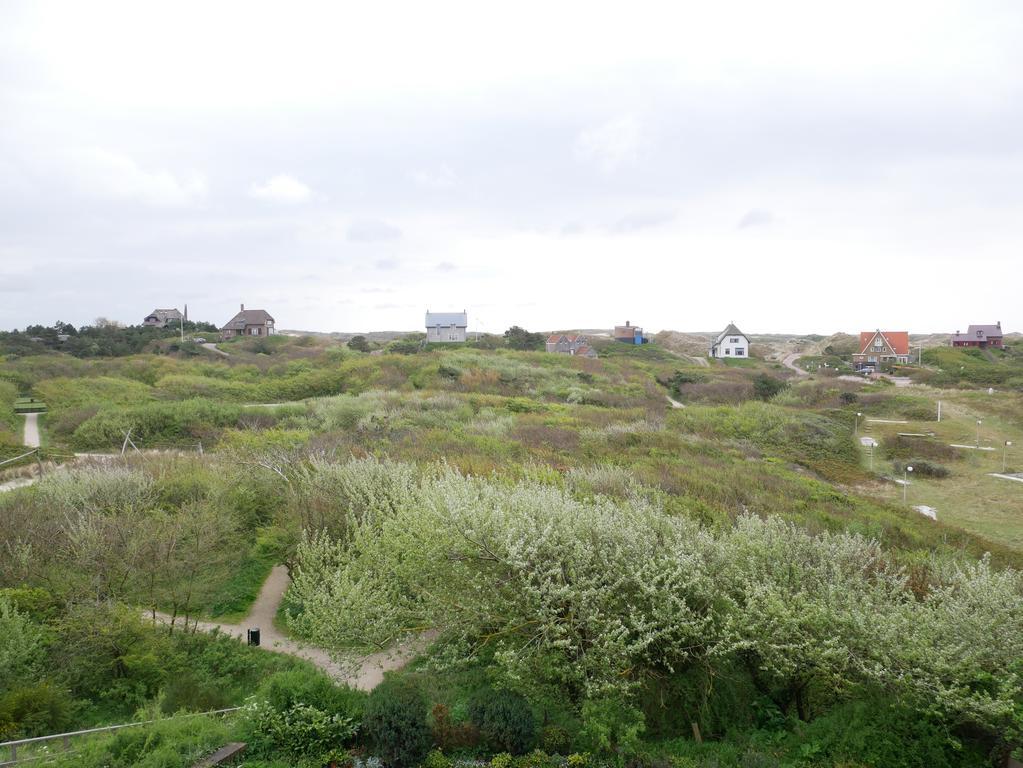 Standard Apartment 44 m2