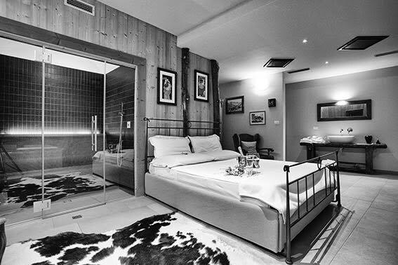 Deluxe Suite Spa Basement