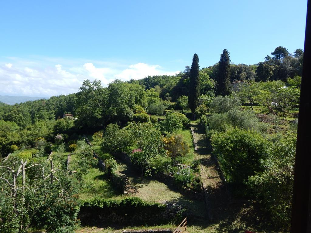 Double Room Garden View