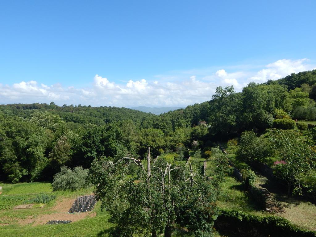 Double Room Garden View
