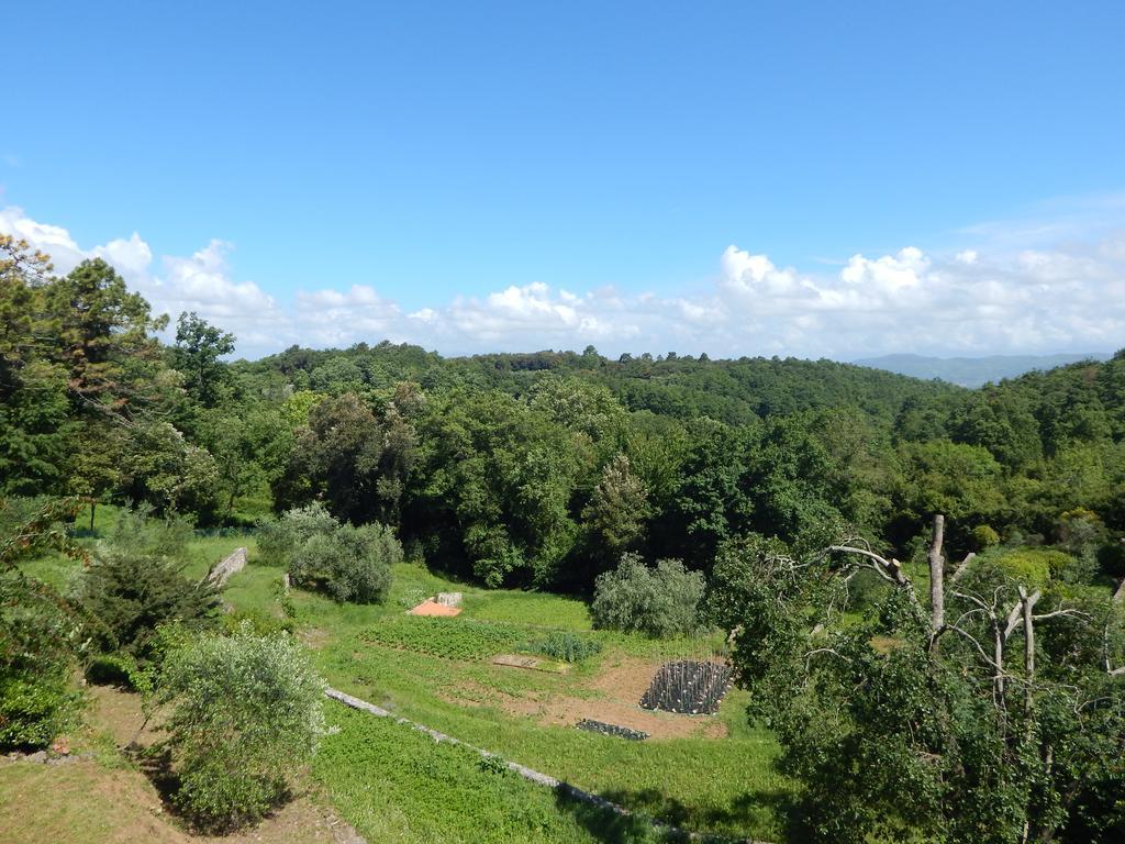 Double Room Garden View