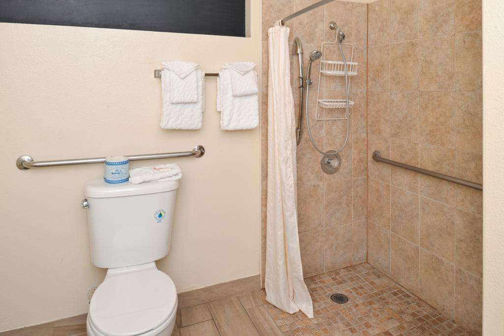 King Room Disability Access Non-Smoking
