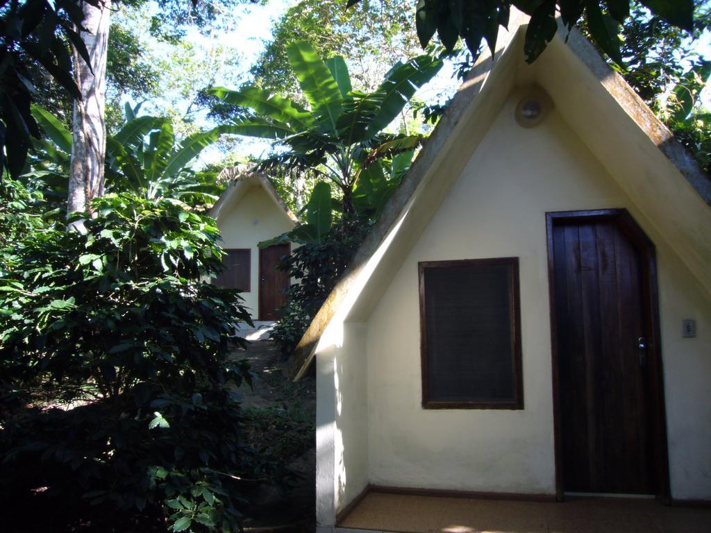 Basic Triple Room