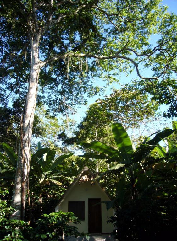 Basic Triple Room
