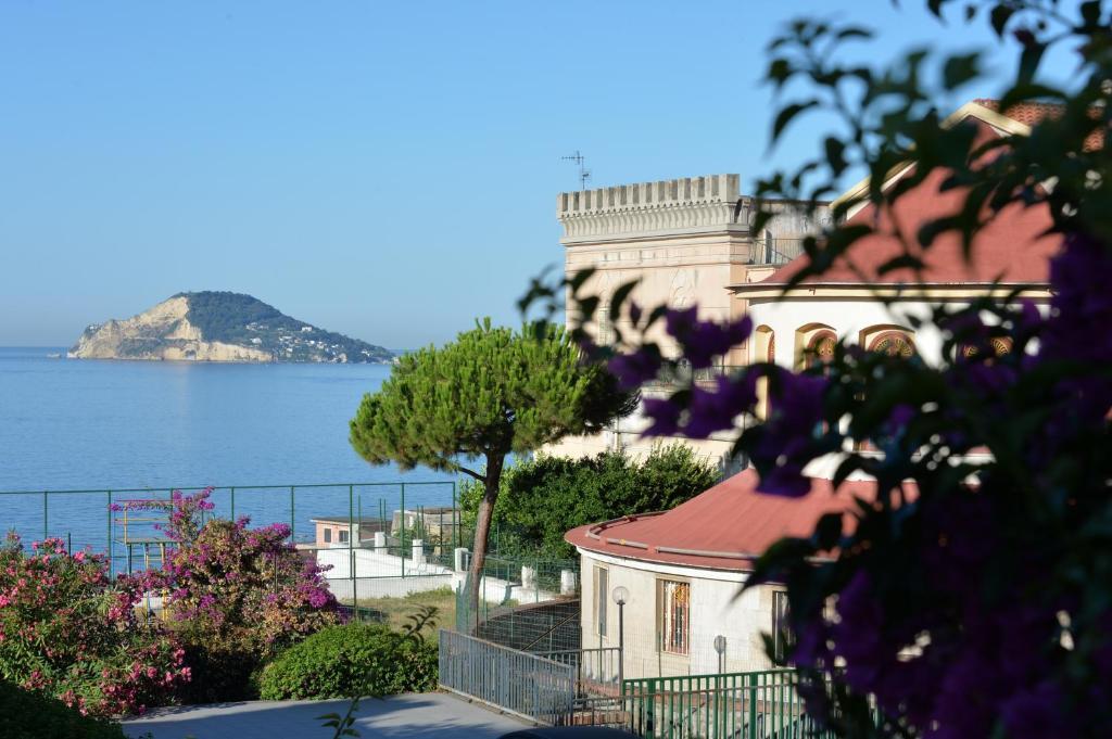Panoramic Apartment