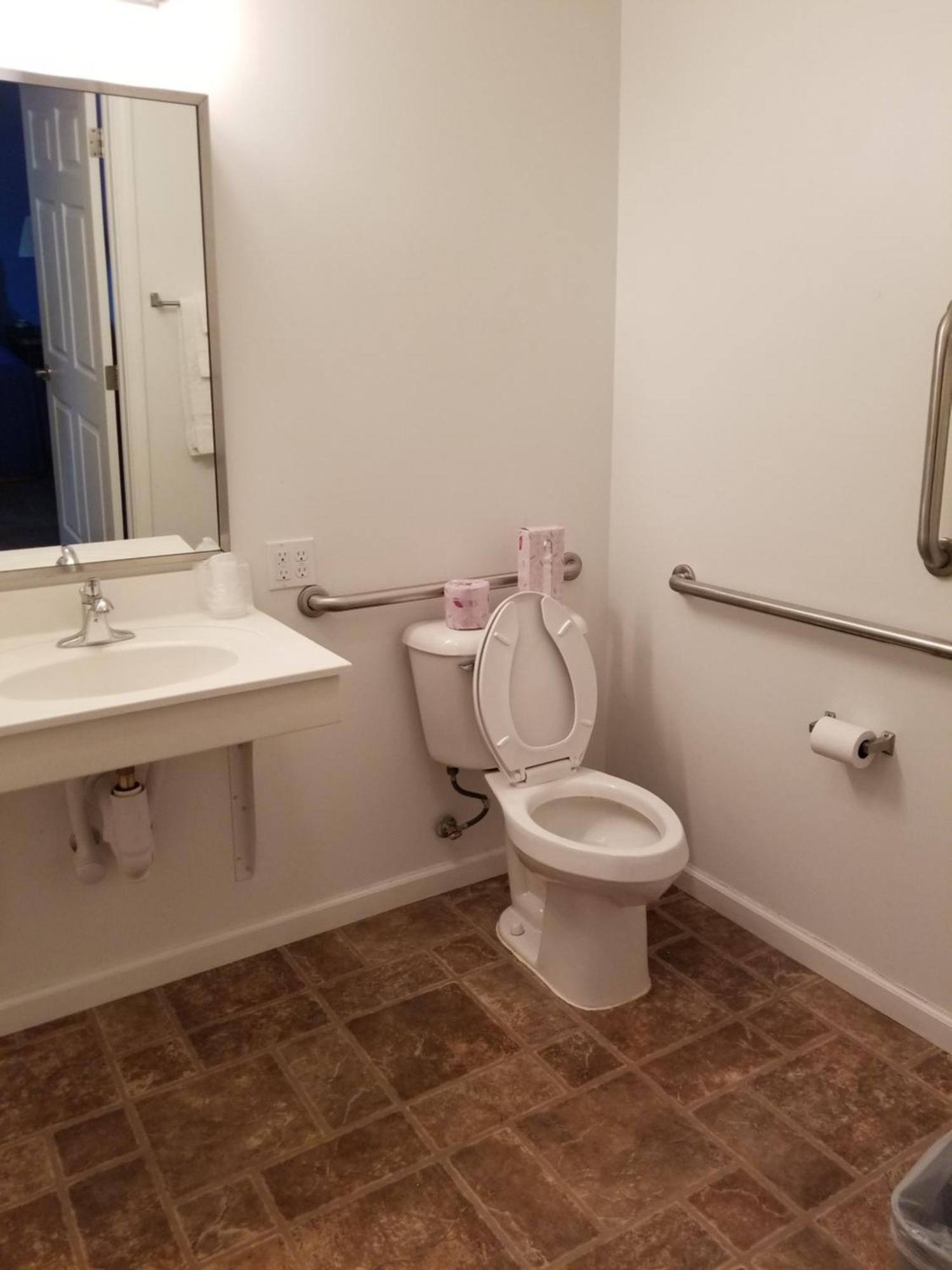 Double Room Mobility Access Bathtub Grab Bars Non-Smoking