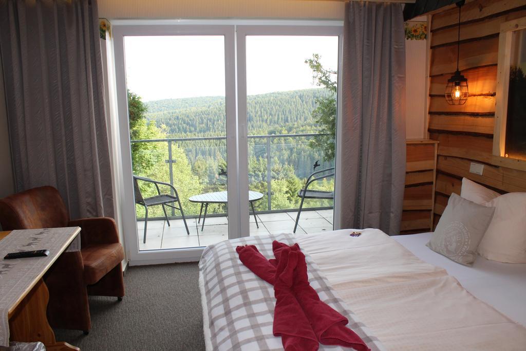 Double Room Mountain View