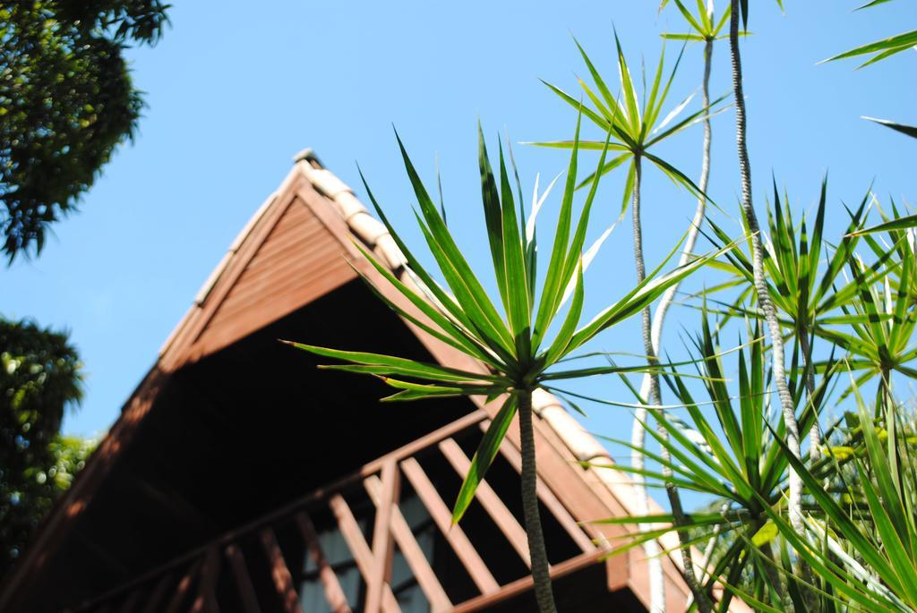 Chalet Bem-te-vi