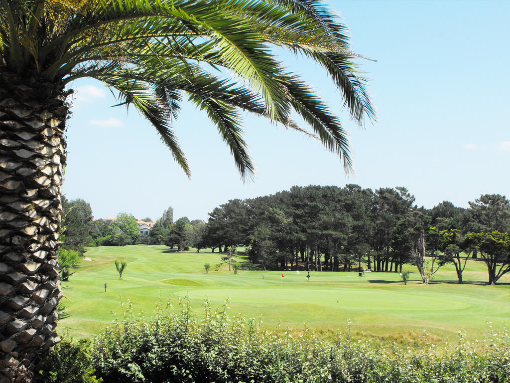 Studio with Golf View (2 Adults),1371770594:JPEG